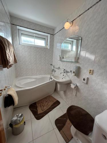 玟內的住宿－Penzión Odysea，带浴缸、卫生间和盥洗盆的浴室