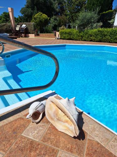 Gallery image of Villa Ino in Preveza