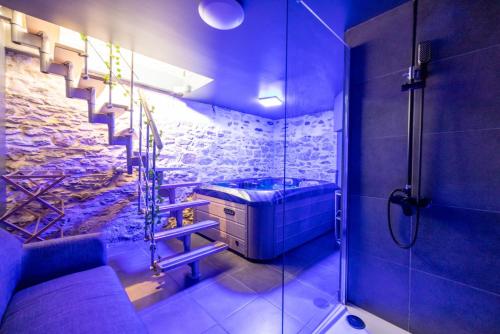 a bathroom with a walk in shower and a sink at Cosy Room Jacuzzi Romantique in Nantes