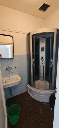 a bathroom with a shower and a sink and a mirror at Simple beachfront rooms Bego in Kraljevica