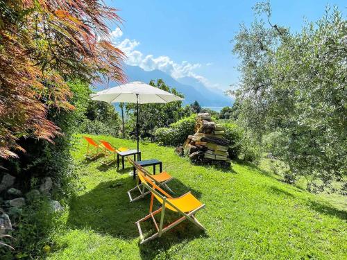 a group of chairs and an umbrella in the grass at Breva, Loft tra gli ulivi ed il lago in Bellagio