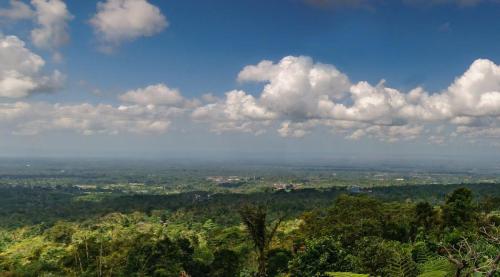 a view of a valley with trees and clouds at Alam Mountain in Angsri