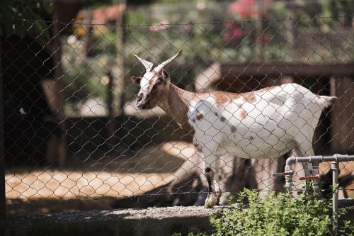 Untermairhof – Photos 4