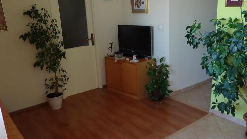 a living room with two potted plants and a television at Apartment Bella in Split