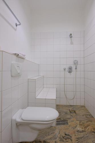 a white bathroom with a toilet and a shower at Gutshaus Thorstorf FeWo Boltenhagen in Warnow
