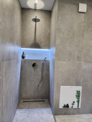 y baño con ducha con cabezal de ducha. en Durres City Apartment, City center & close to the beach en Durrës