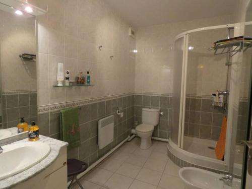 une salle de bain avec une douche, des toilettes et un lavabo dans l'établissement Appartement proche de la mer et du port Pays Basque Hendaye, à Hendaye