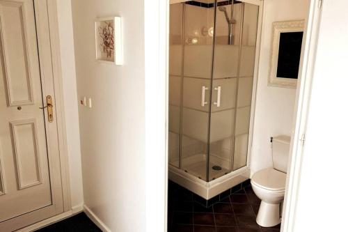 ein Bad mit einer Glasdusche und einem WC in der Unterkunft Studio indépendant 3 étoiles dans magnifique villa au bord du lac d'Annecy in Veyrier-du-Lac