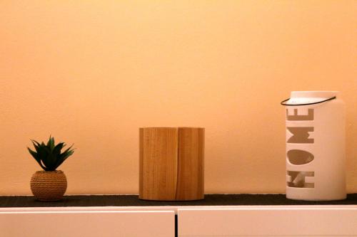 a shelf with a cup and a potted plant on it at Villa Anzio in Mariánské Lázně