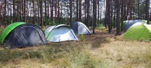 a group of three tents in a forest at Ośrodek Wypoczynkowy Nad Brdą in Tuchola