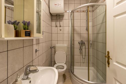 a bathroom with a toilet and a sink and a shower at DELUXE ROOMS BURE in Murter