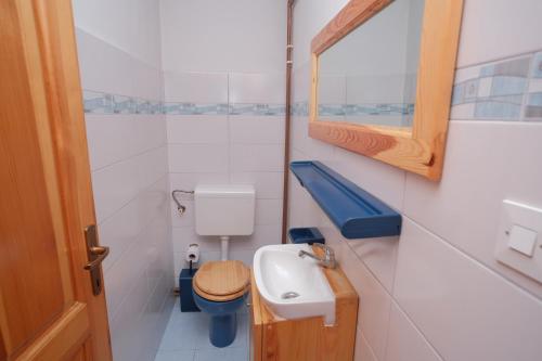a small bathroom with a toilet and a sink at Apartment Bistrik medresa in Sarajevo