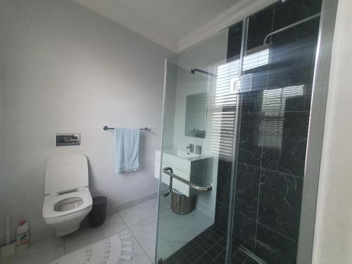 a bathroom with a toilet and a glass shower stall at Royal Manor in Johannesburg