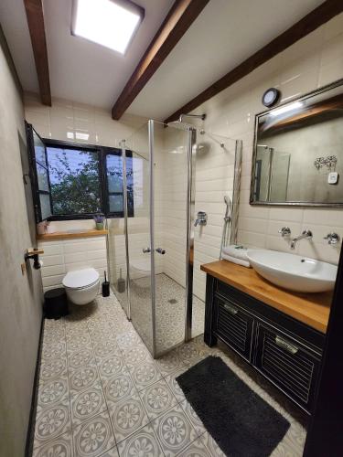 a bathroom with a shower and a sink and a toilet at Gold 68- גולד 68 סוויטות בוטיק in Kefar Barukh