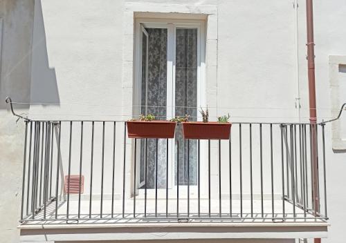 a window with two plants on a balcony at Tedimo Supra in Ragusa