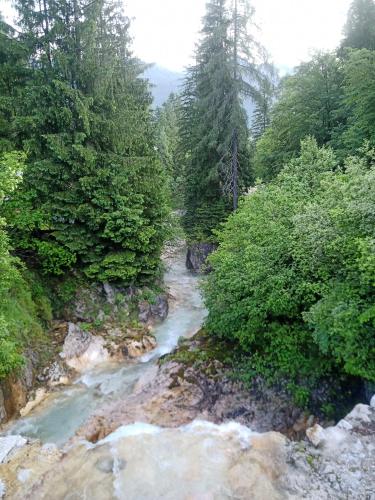 Gallery image of Gorski biser in Mojstrana