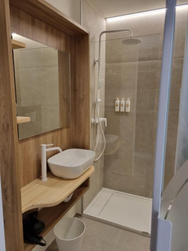 a bathroom with a white sink and a shower at Reina Victoria Velázquez in Alicante