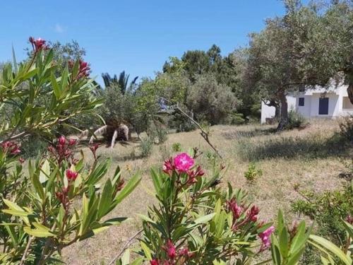 Secluded 3 bed apartment amazing views – Photos 3
