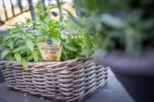 a basket filled with plants on a table at Engel 16 in Gutach