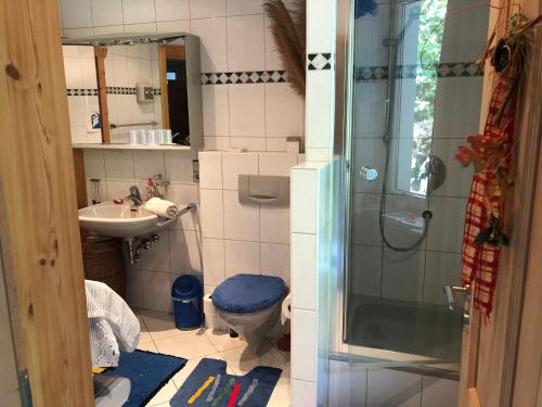 a bathroom with a shower and a toilet and a sink at Doppelzimmer mit Wasserbett in Winningen