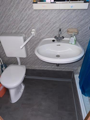 a bathroom with a toilet and a sink at Privatzimmer Fohnsdorf in Fohnsdorf