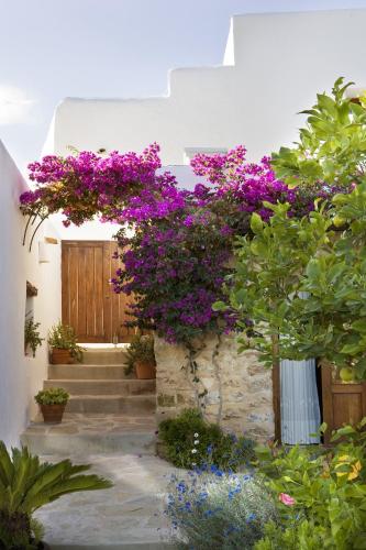 a garden with purple flowers on a wall at Agroturismo Can Pardal in Sant Miquel de Balansat