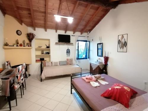 a living room with a table and a couch at Ολόκληρο σπίτι in Raches