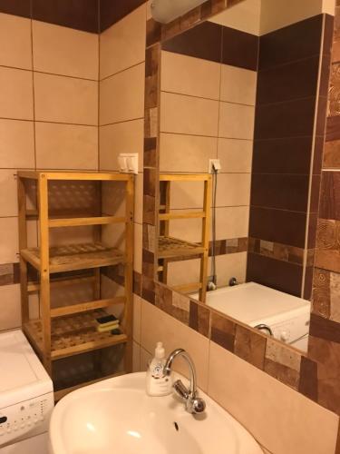ein Bad mit einem Waschbecken und einem Spiegel in der Unterkunft Árnyas Residence Apartman Pécs in Pécs