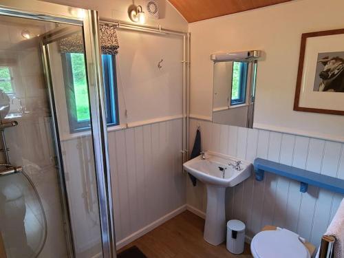 a bathroom with a sink and a shower and a toilet at Penn Bergeyn Shepherd's Huts in Exeter
