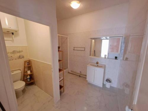 une salle de bain avec toilettes et lavabo dans l'établissement T2 climatisé avec balcon à proximité du centre ville, à Béziers
