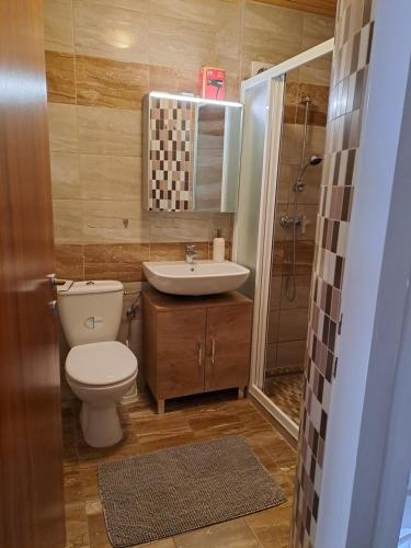 バート・ミッテルンドルフにあるApartment Sophieのバスルーム(トイレ、洗面台、シャワー付)