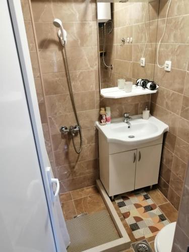 ein Bad mit einem Waschbecken und einer Dusche in der Unterkunft Apartman Petovic in Kotor
