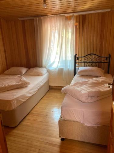 two twin beds in a room with a window at SEFA APART in Uzungol