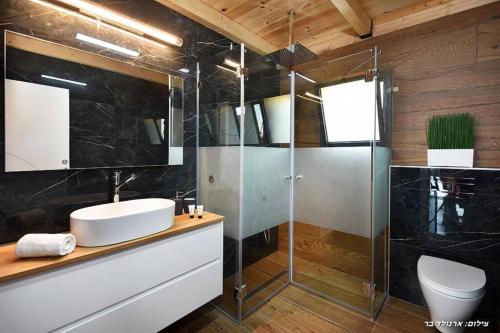 a bathroom with a sink and a glass shower at מאיורי בוטיק - וילה מקסימה עם בריכה פרטית ונוף מהמם למשפחות בלבד in Mishmār Hāyardin
