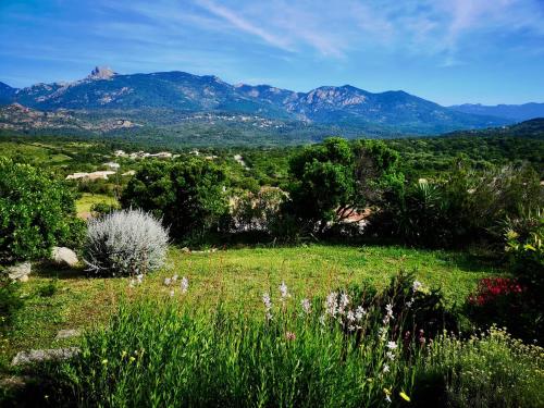 Appartements avec jardin entre Porto-Vecchio et Figari - Casa Mattiste