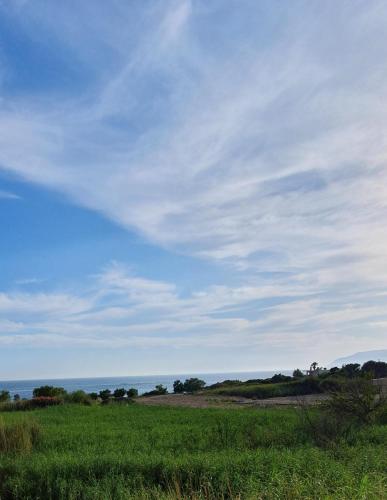 a field with green grass and a cloudy sky at Babis & Popi Rooms and Studios in Frangokastello