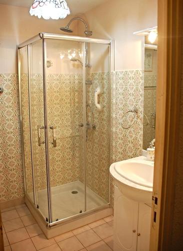 a bathroom with a shower and a sink at Manoir du Mur in Comblessac