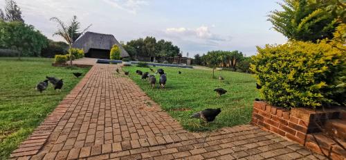 a group of chickens walking down a brick road at Ka Tembe Self Catering Lodge in Polokwane