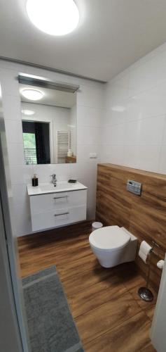 a bathroom with a toilet and a sink at Abstractive Apartament Spokojna in Wisła