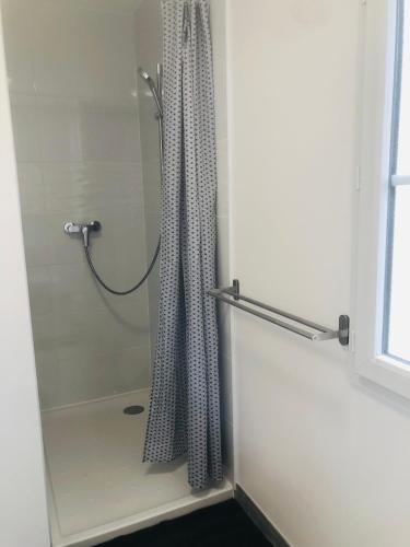 une douche avec un rideau de douche dans une salle de bain dans l'établissement LE GITE DE LA GIRAFE CENTRE VILLE LOUVIERS, à Louviers