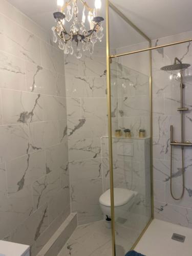 La salle de bains est pourvue d'une douche, de toilettes et d'un lustre. dans l'établissement Chez Sylvie, à Perros-Guirec