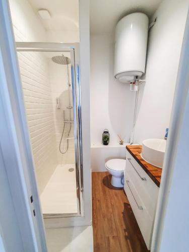 une salle de bain avec une douche, des toilettes et un lavabo dans l'établissement Studio à 10mn à pied de l'hyper centre, à Albi