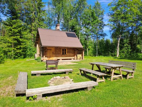 a log cabin with picnic tables in front of it at Nedsaja metsamaja ja saun in Nedsaja