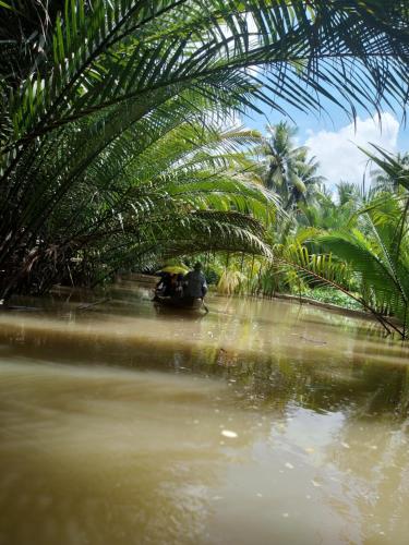a person riding a boat on a river with palm trees at BenTrestay in Giồng Tú Ðiền