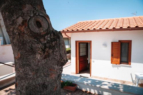 a tree in front of a white house at Magnolia Rooms in Civitavecchia