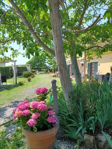 Agriturismo Il Gelso – Photos 3
