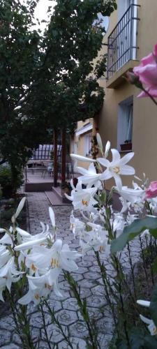 Κήπος έξω από το Apartment Matulji
