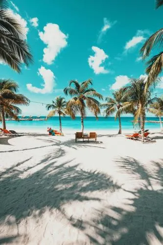 Blue Bay Lodges photo