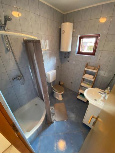 W łazience znajduje się toaleta, prysznic i umywalka. w obiekcie Apartmani Nika w Bibinje