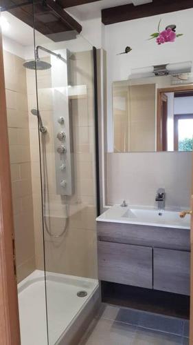 une salle de bain avec douche et lavabo dans l'établissement Maison du domaine de la petitière, à Bonneville-la-Louvet
